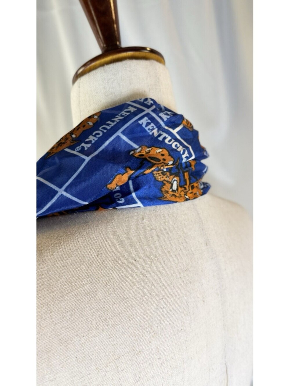 University of Kentucky Wildcats Scarf GO BIG BLUE 100% Polyester 58" x12 SANDOL - Picture 4 of 7